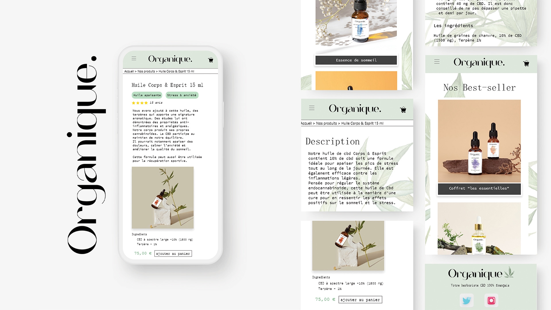 maquette site web _organique
